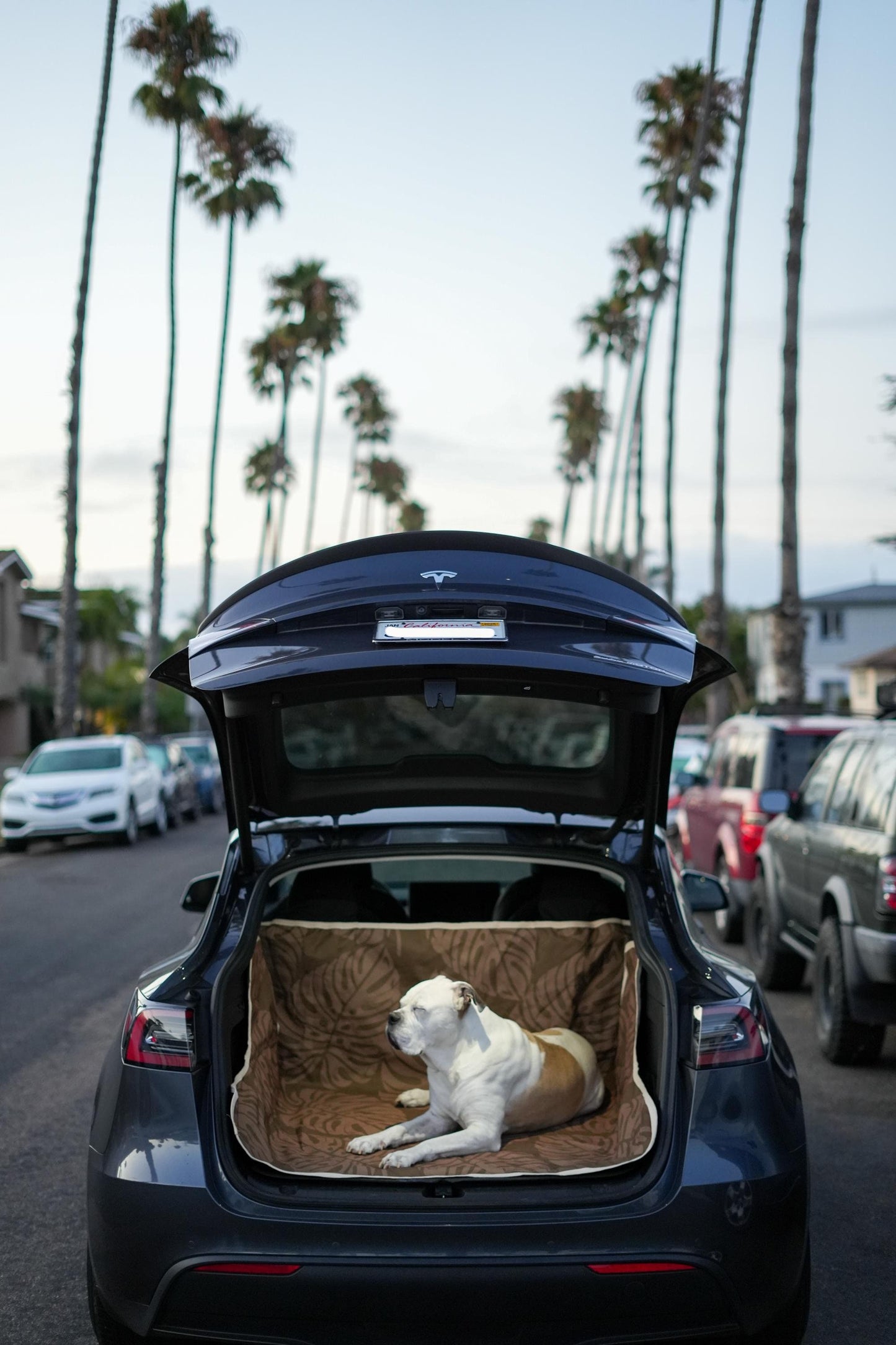 Waterproof Dog Car Seat Cover - Brown Palm | Albus and Ivy