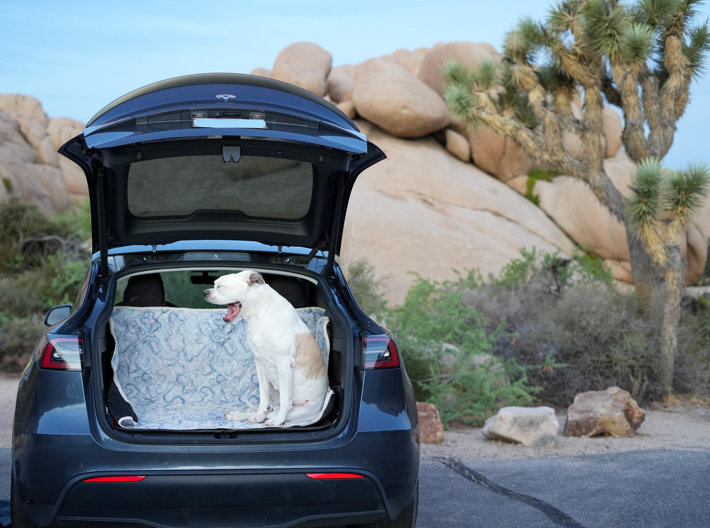 Waterproof Dog Car Seat Cover - Topographic | Albus and Ivy