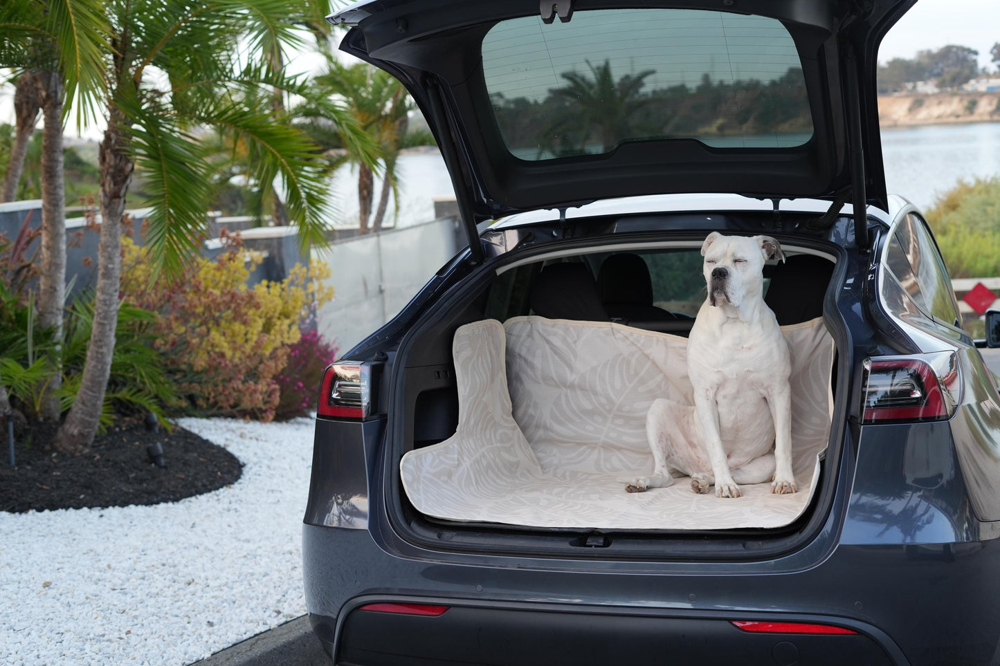 Waterproof Dog Car Seat Cover - Stylish Cream | Albus and Ivy