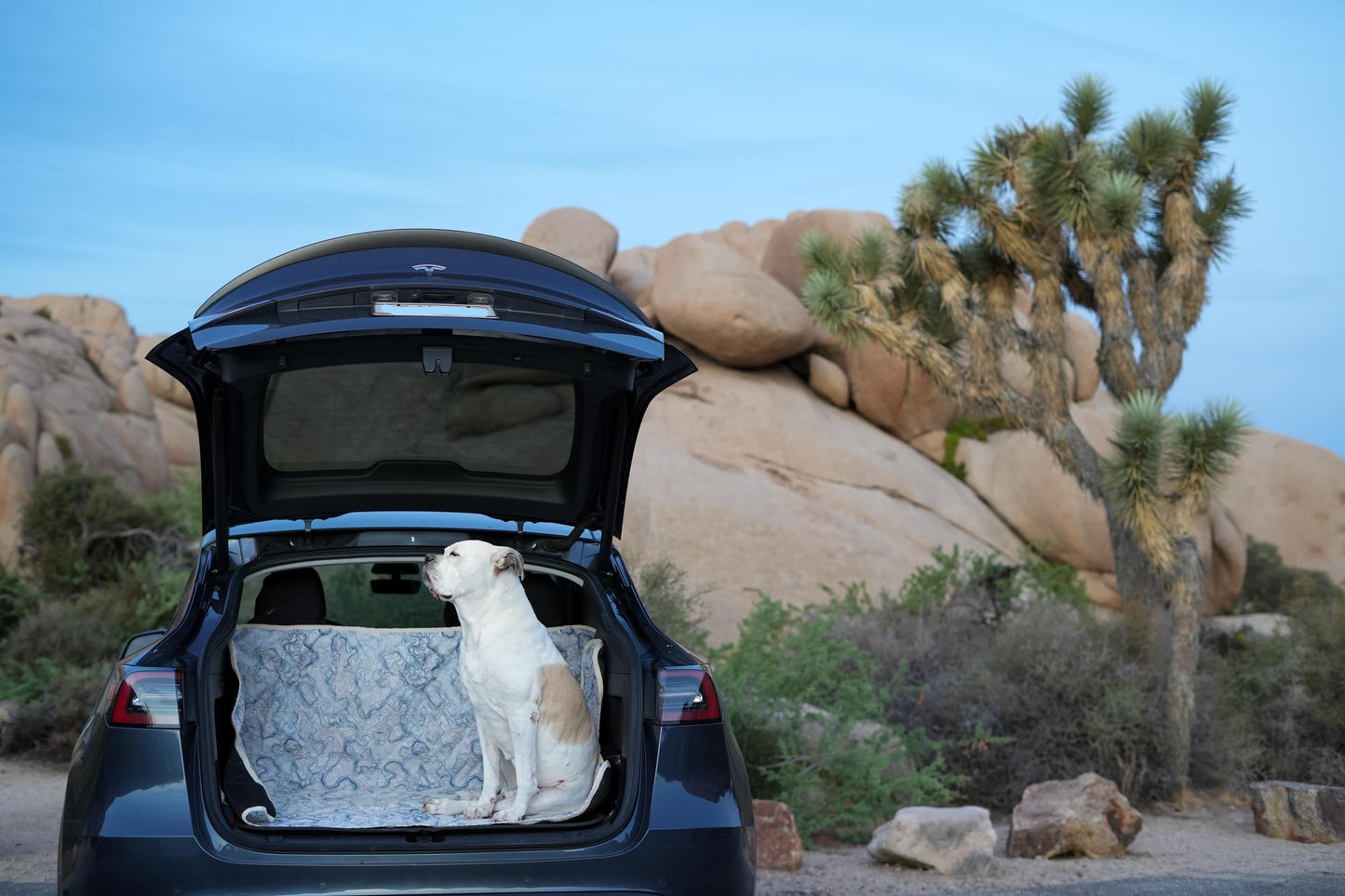 Waterproof Dog Car Seat Cover - Topographic | Albus and Ivy