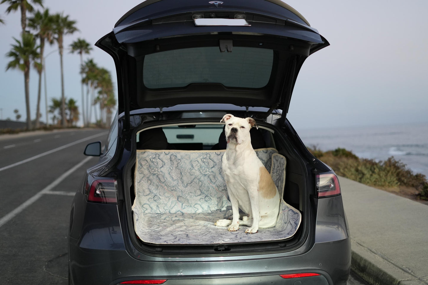 Waterproof Dog Car Seat Cover - Topographic | Albus and Ivy