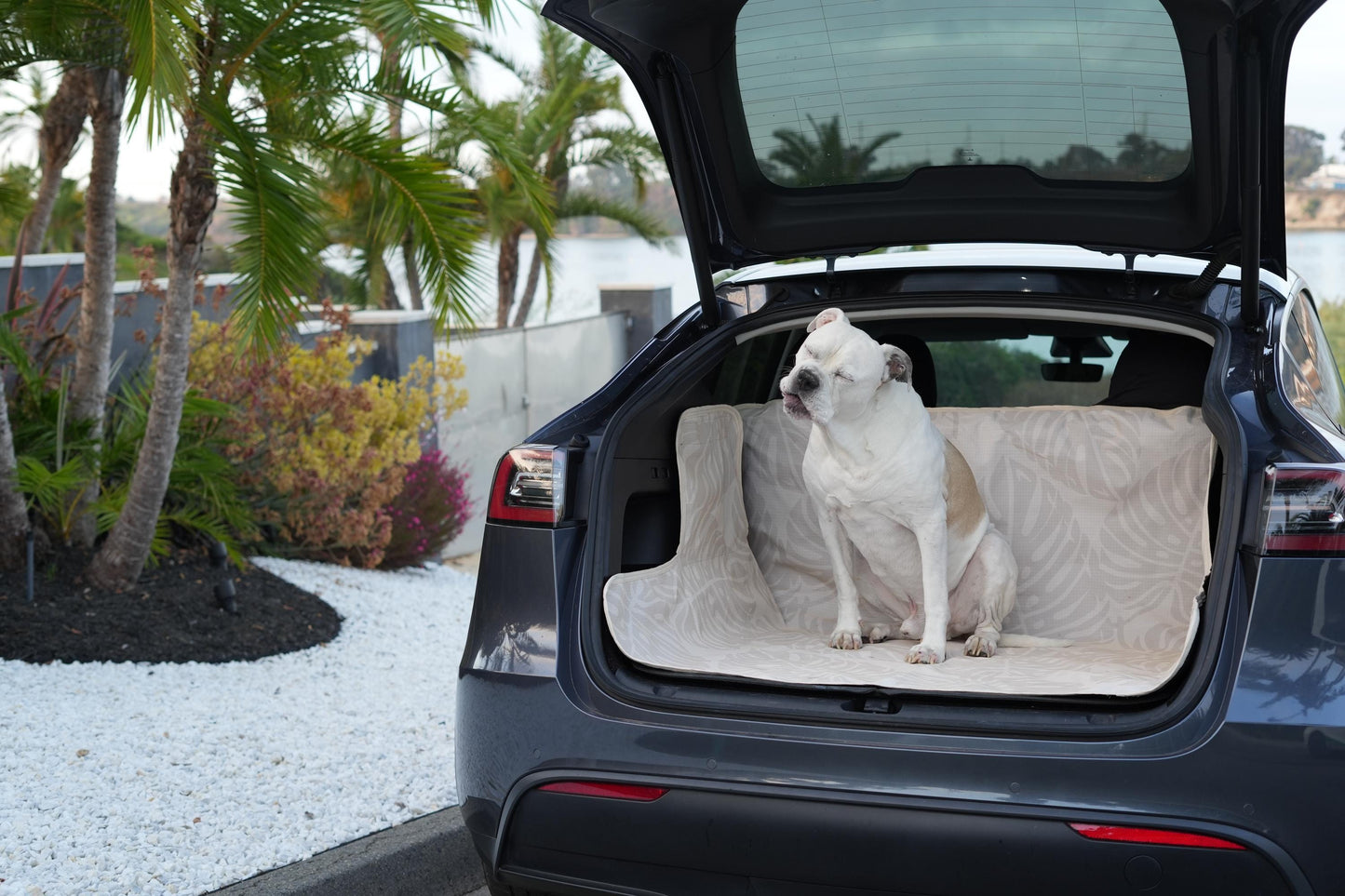 Waterproof Dog Car Seat Cover - Stylish Cream | Albus and Ivy