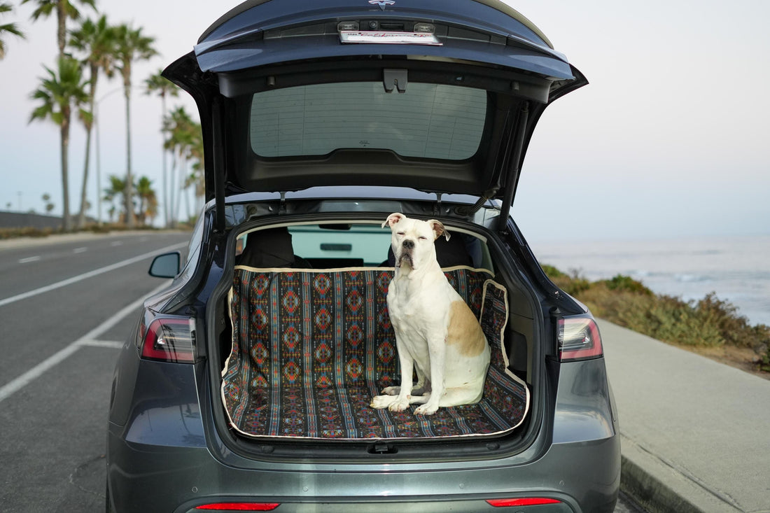 Best Car Accessories for Dog Owners with SUVs and Sedans