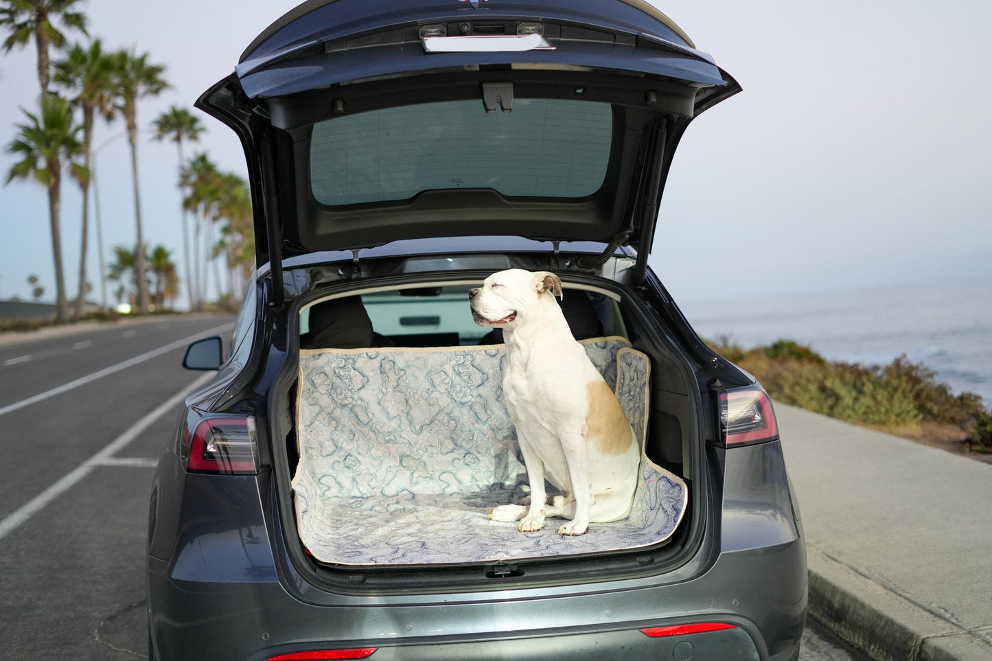 Waterproof Dog Car Seat Cover - Topographic | Albus and Ivy