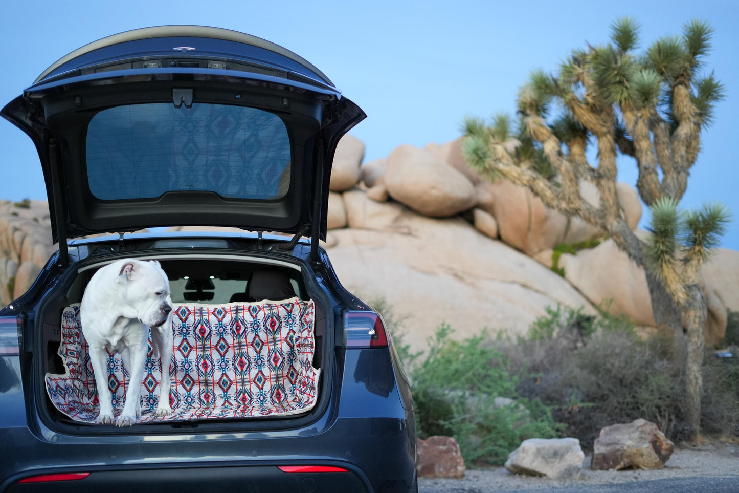 Waterproof Dog Car Seat Cover - Light  Santa Fe | Albus and Ivy