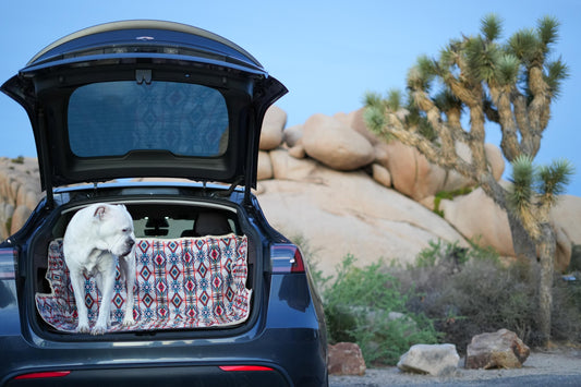 Waterproof Dog Car Seat Cover - Light  Santa Fe | Albus and Ivy