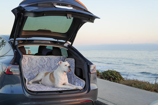 Waterproof Dog Car Seat Cover - Topographic | Albus and Ivy