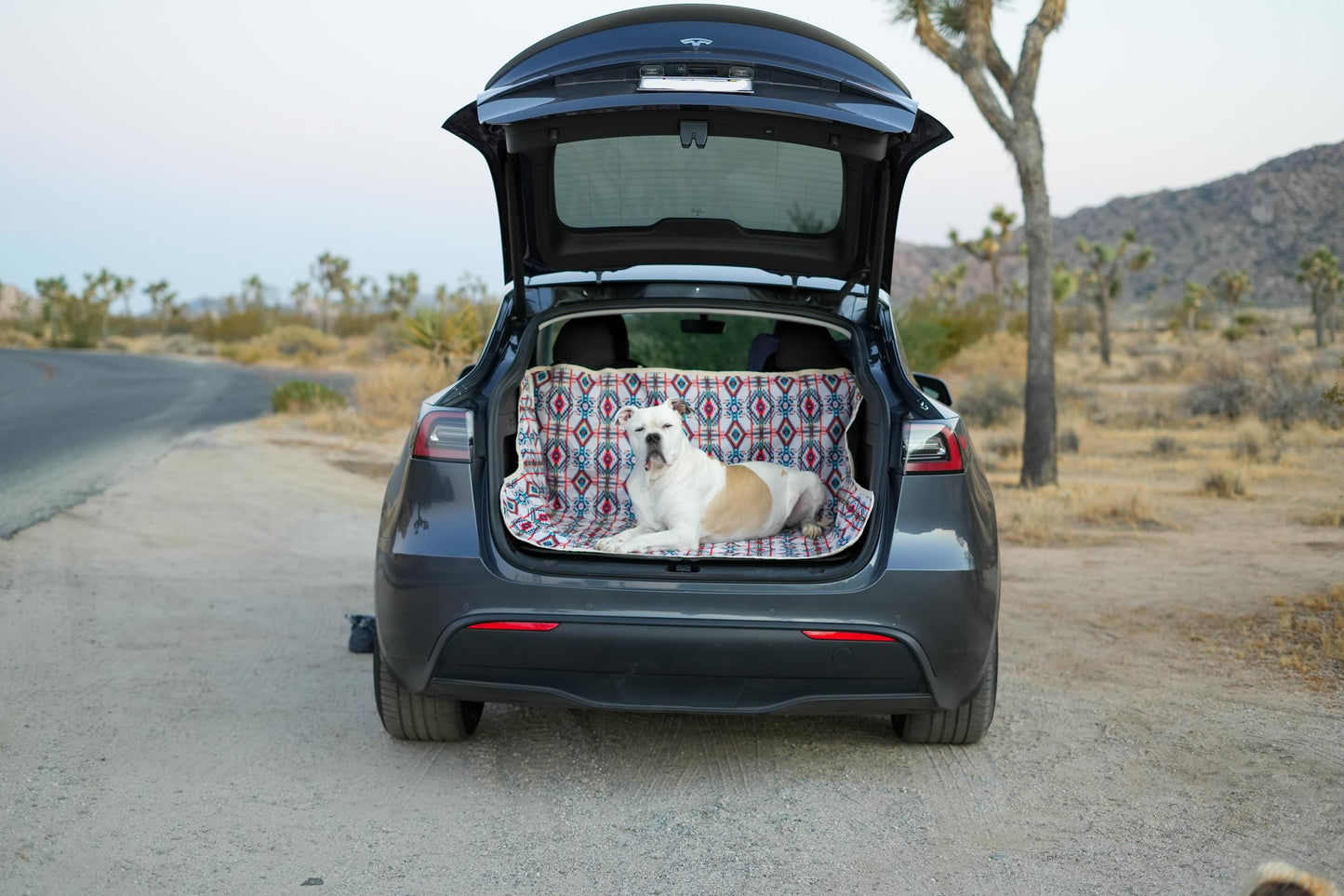 Waterproof Dog Car Seat Cover - Light  Santa Fe | Albus and Ivy