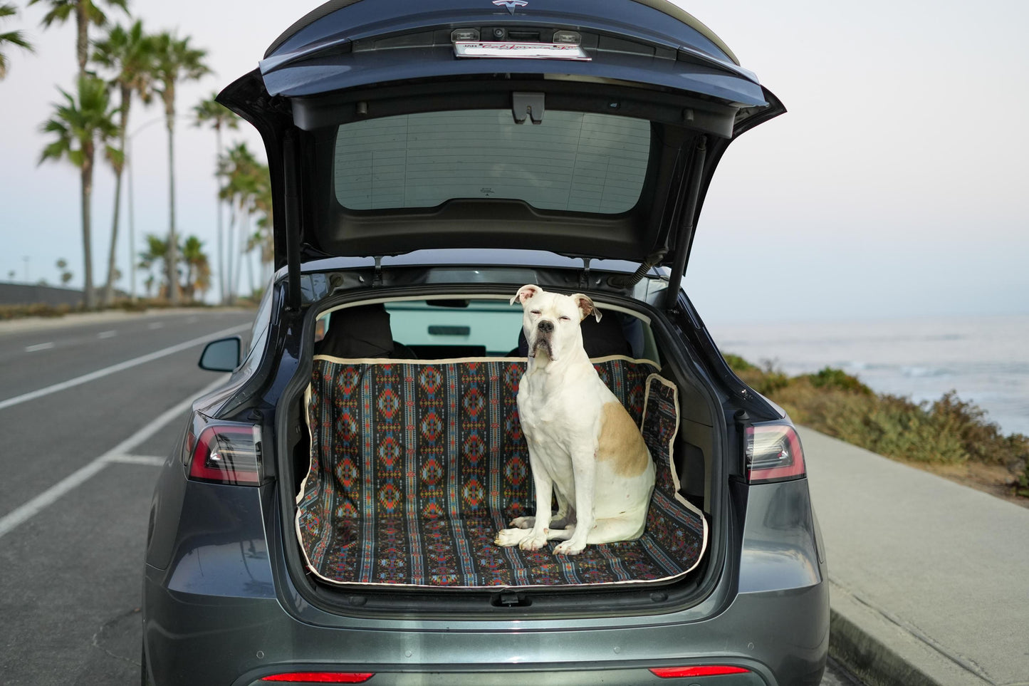 Dog Car Cover, Buckle Free, Headrest Cover, Water-Resistant Material, SUV/Sedan Trunk Cover, Cargo Liner, Universal Back seat, Stylish