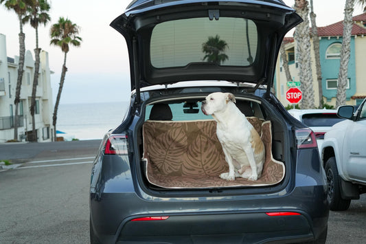Waterproof Dog Car Seat Cover - Brown Palm | Albus and Ivy