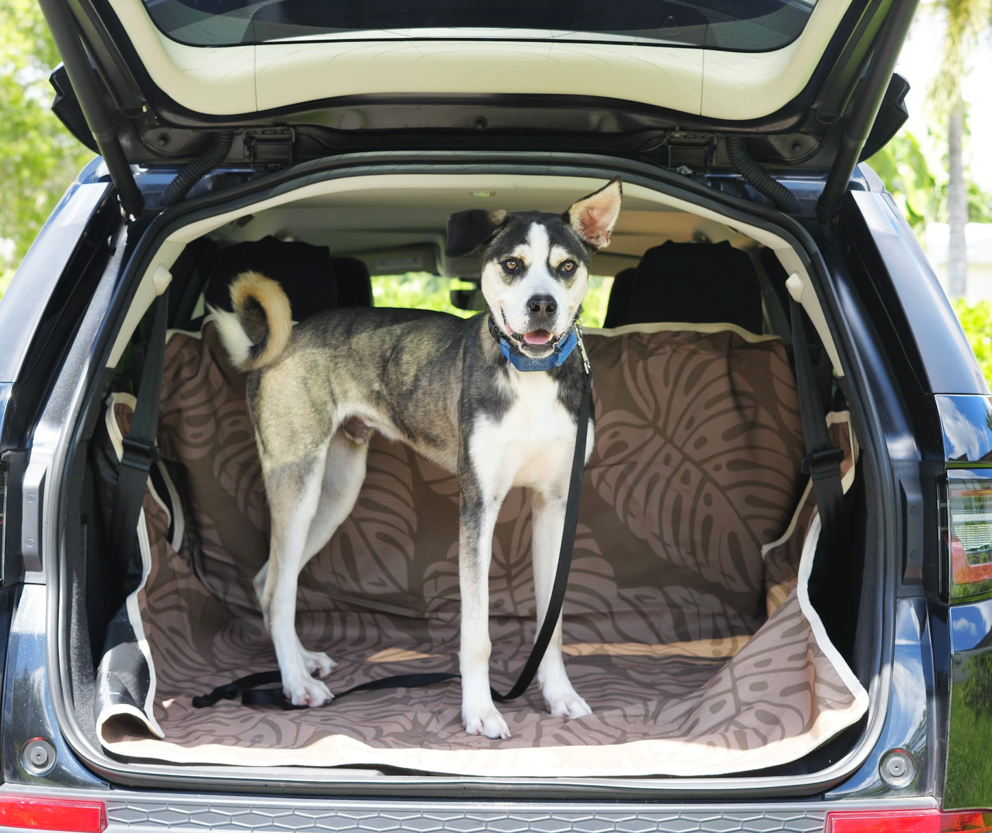 Waterproof Dog Car Seat Cover - Brown Palm | Albus and Ivy
