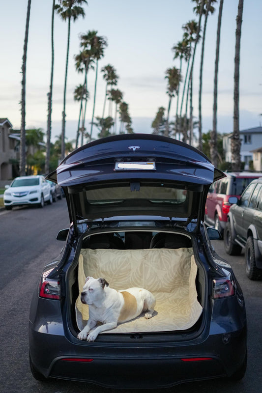 Waterproof Dog Car Seat Cover - Stylish Cream | Albus and Ivy