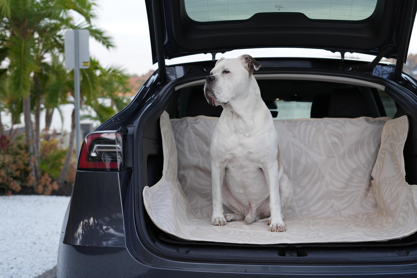 Waterproof Dog Car Seat Cover - Stylish Cream | Albus and Ivy