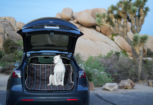Dog Car Cover, Buckle Free, Headrest Cover, Water-Resistant Material, SUV/Sedan Trunk Cover, Cargo Liner, Universal Back seat, Stylish