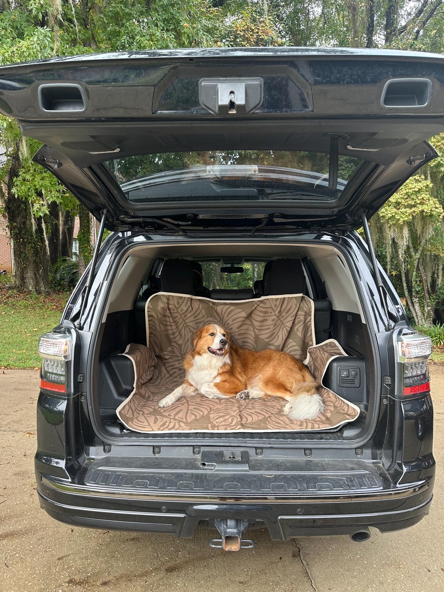 Waterproof Dog Car Seat Cover - Brown Palm | Albus and Ivy