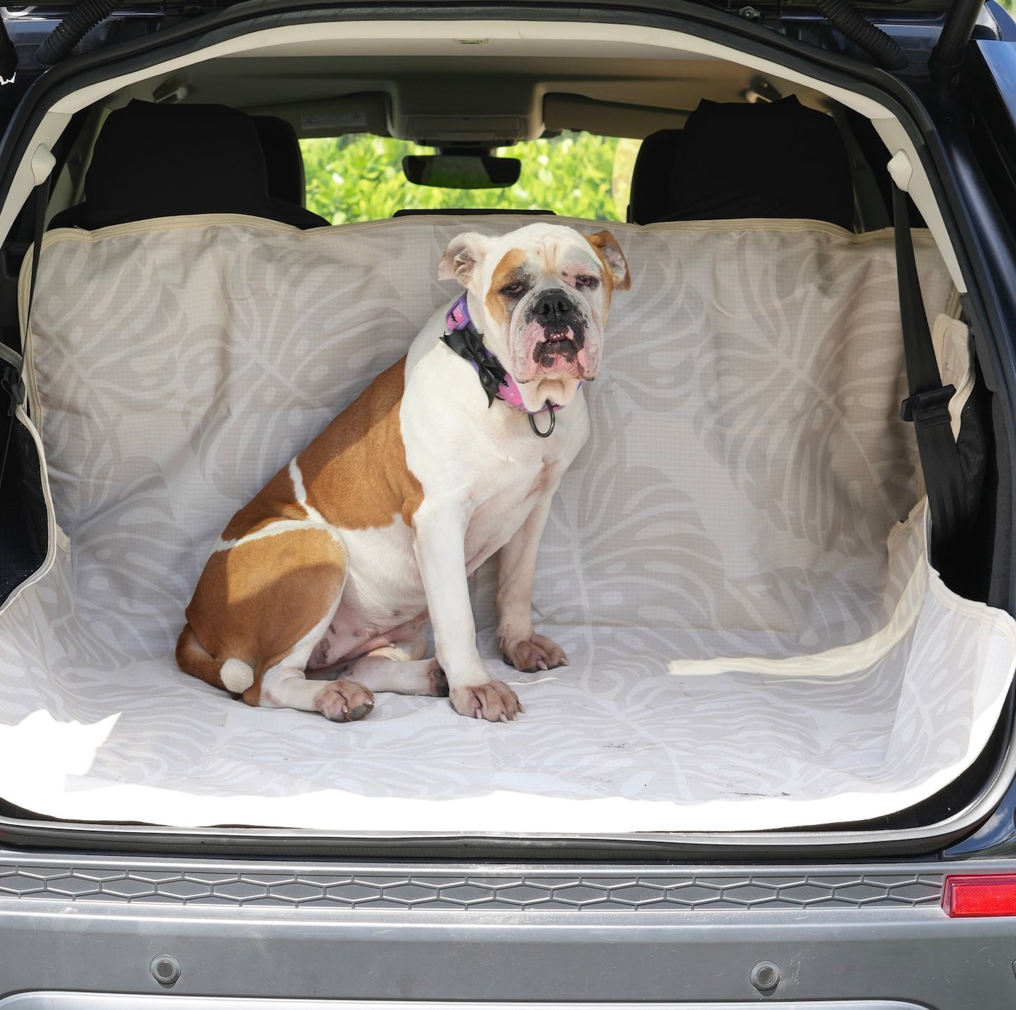 Waterproof Dog Car Seat Cover - Stylish Cream | Albus and Ivy